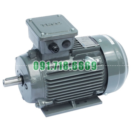 Bán Động cơ điện motor TECO AESV1S-100(TECO100)