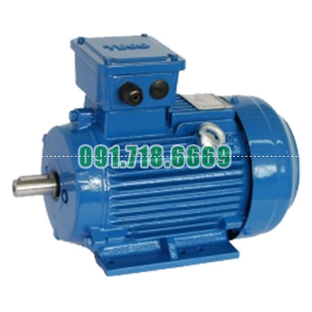 Bán Motor động cơ điện 3 Pha Teco AESV2S-100 IE2 công suất 75Kw