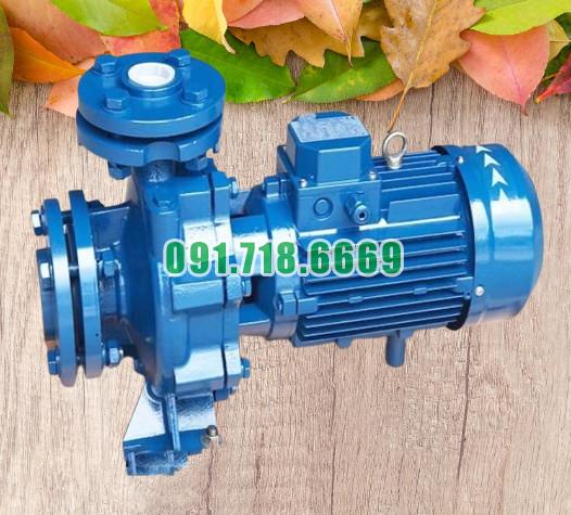 Máy bơm nước li tâm trục ngang CM50-250A đường thoát 40 mm